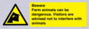 beware-farm-animals-can-be-dangerous-visitors-are-advised-not-to-interfere-with-~